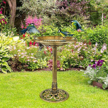 Bain d'oiseau sur pied